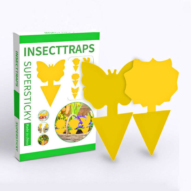 Insect Trap For Potted Plants