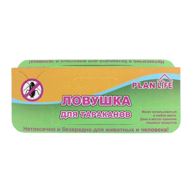 Enlarged Cockroach Glue Trap