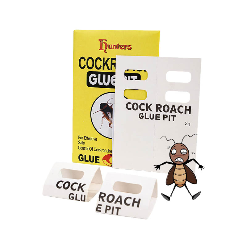 Stop the Futile Fight: Launching a Precision 'Inside Job' Against the Roach Nest